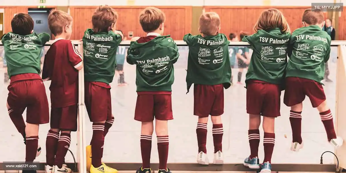 行业领先的理由